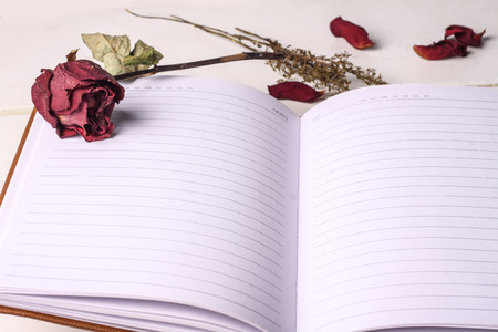 dried roses isolated with book on white wooden backgroundの写真素材