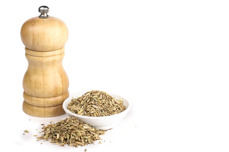 fennel with grinder in the background isolated in whiteの写真素材