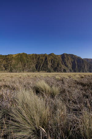 mount penanjakan with brown grass in the foregroundの写真素材