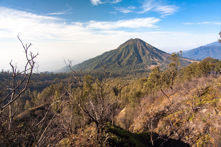 Mount Meranti and vast forest of East Java, Indonesia. Dead dry trees are the effect of deforestation by fire at 2013.の写真素材