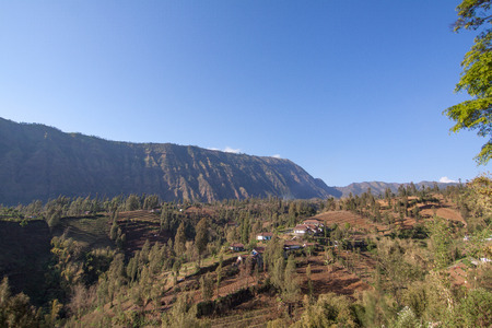 Morning view at Sukapaura, East Java Indonesia. Agriculture at mountain is now second income for locals at East Java as Tourism change their life.の写真素材