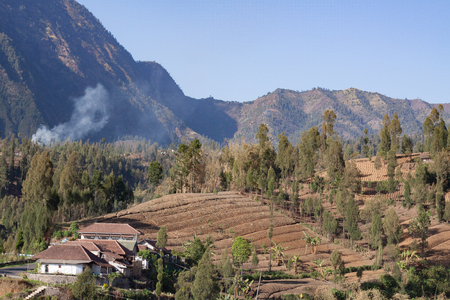 Morning view at Sukapaura, East Java Indonesia. Agriculture at mountain is now second income for locals at East Java as Tourism change their life.の写真素材