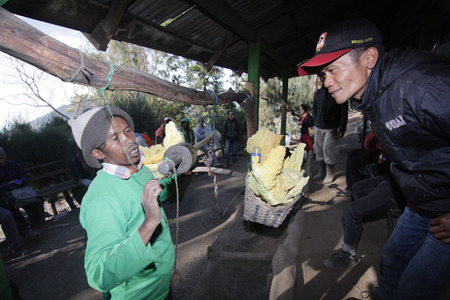 IJEN, INDONESIA - November 18 : A Penambang at Ijen crater weighting raw sulfur stone to local dealer. Sulfur mining is one of the main income for the local at Ijen crater 18 November 2015のeditorial素材
