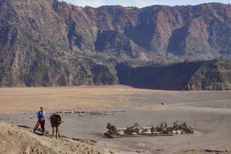 BROMO, INDONESIA - NOVEMBER 17: Local Tengger people with his horse at Mount Bromo waiting for a tourist for horse riding with background of Mount Penanjakan and Hindu temple Pura Luhur Poten, Bromo Indonesia 17 November 2015のeditorial素材