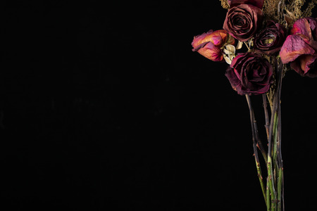 red dried roses in a glass jar on black backgroundの写真素材
