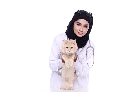 muslimah doctor holding a cat isolated in white backgroundの写真素材