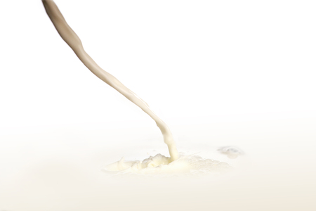 Milk splash isolated on white backgroundの写真素材