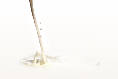 Milk splash isolated on white backgroundの写真素材