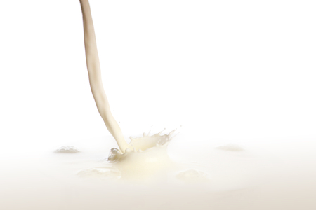 Milk splash isolated on white backgroundの写真素材