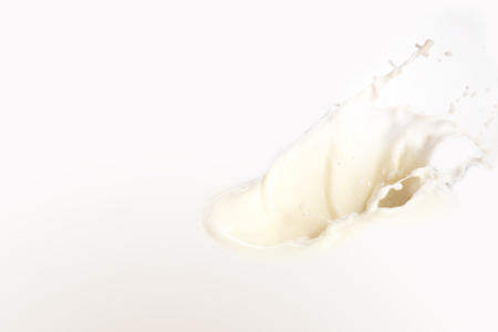 Milk splash isolated on white backgroundの写真素材