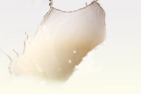 Milk splash isolated on white backgroundの写真素材