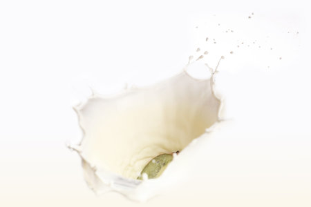 kiwi falling in milk splashの写真素材