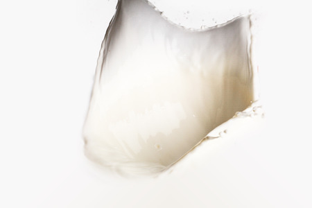 Milk splash isolated on white backgroundの写真素材