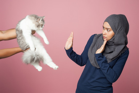 a beautiful hijab women with cat on a pink backgroundの写真素材