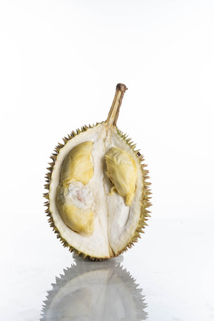 natural local fruit durian on white backgroundの写真素材