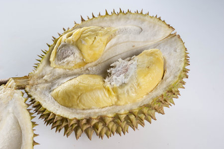 natural local fruit durian on white background