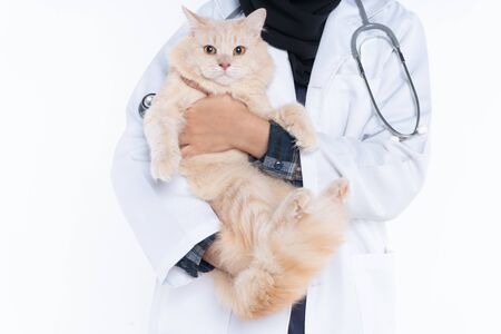 Asian young woman holds cat isolated on white backgroundの写真素材