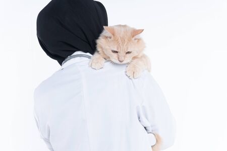 Young asian veterina doctor holding a cute catの写真素材
