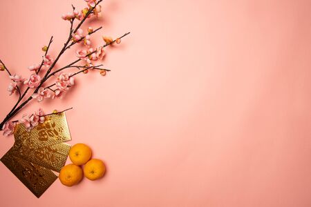 flat lay of mandarin orange and gold packet with chinese character "fu" means fortune and prosperity in pink backgroundの写真素材