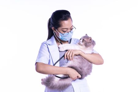 veterinarian holding a cat - On a white backgroundの写真素材