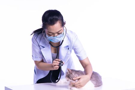image of beautiful female doctor veterinarian with stethoscope is examining cute grey cat at vet clinic.の写真素材