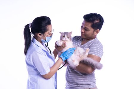 Smiling professional veterinarian holding a beautiful cat after examination, the pet owner is cuddling her catの写真素材