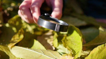Schoolboy in the Park studies of plants and nasekomye through a magnifying glass. Study of the...