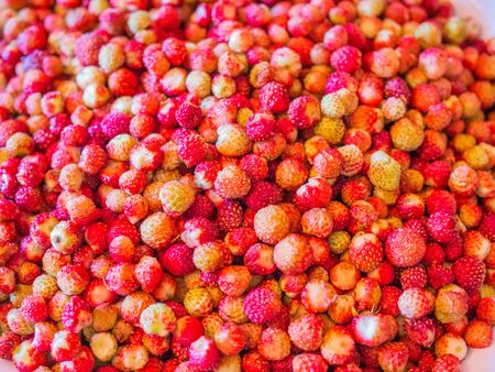 Very many forest berries strawberry. closeupの写真素材