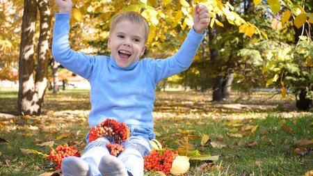 A child in the autumn Park plays and laughs merrily, he plays with yellow leaves and Rowan berries. Sunny autumn day in the Park. Outdoor entertainmentの写真素材