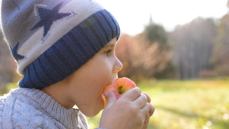 A child in the autumn Park on a picnic. He eats a juicy red Apple. Close up faceの写真素材