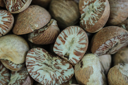 betel nuts