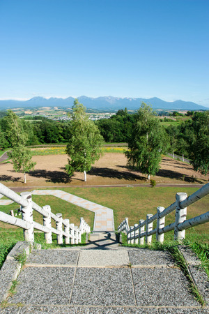 white stairsの写真素材