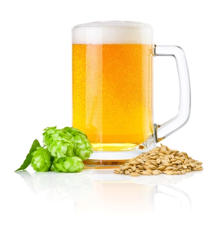 Mug fresh beer with Green hops and wheat isolated on a white backgroundの写真素材