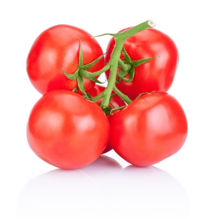 Branch of red tomatoes isolated on white backgroundの写真素材
