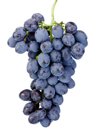 Fresh wet blue grapes isolated on white backgroundの写真素材