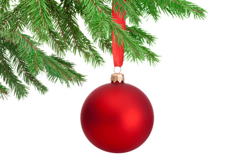 Christmas red ball hanging on a fir tree branch Isolated on white backgroundの写真素材