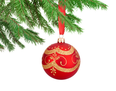 Red decorations Christmas ball hanging on a fir tree branch Isolated on white backgroundの写真素材