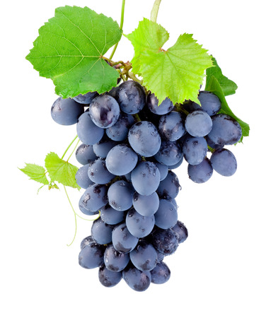 Fresh bunch of grapes with leaves isolated on a white backgroundの写真素材