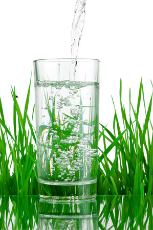Pouring water into glass on background of green grass isolatedの写真素材