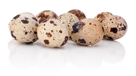 Quail eggs isolated on white backgroundの写真素材