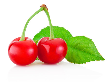 Two ripe cherries with leaf isolated on white backgroundの写真素材