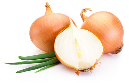 Cut fresh bulbs of onion on a white backgroundの写真素材