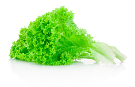 Fresh green leafs lettuce isolated on a white backgroundの写真素材