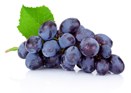 Fresh wet blue grapes with green leaf isolated on white backgroundの写真素材
