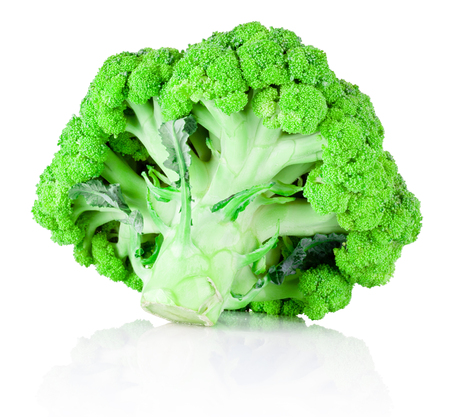 Fresh green broccoli isolated on white backgroundの写真素材