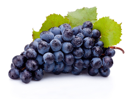 Wet bunch of blue grapes with leaves isolated on white backgroundの写真素材