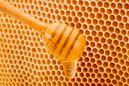 Honey dripping from dipper on background honeycombの写真素材
