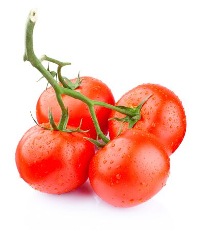 Four ripe wet tomatoes on branch isolated a white backgroundの写真素材