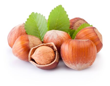 Hazelnuts with green leaves isolated on a white backgroundの写真素材