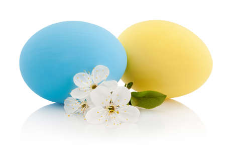 Two colorful Easter eggs and Spring flowers isolated on a white backgroundの写真素材